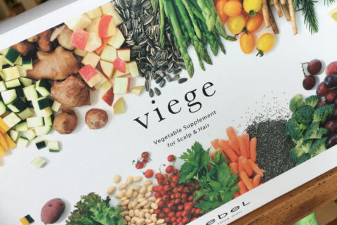 パーマリンク先: Viege